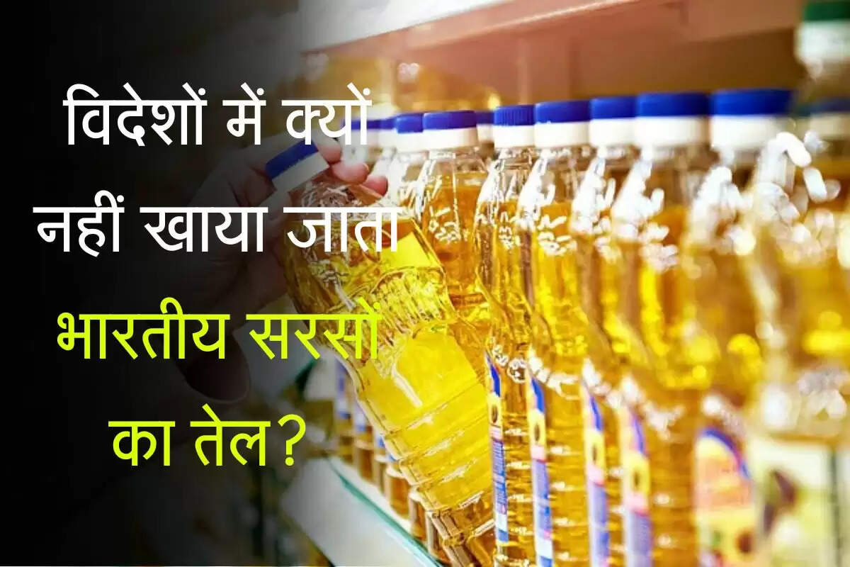 विदेशों में क्यों नहीं खाया जाता भारतीय सरसों का तेल? आप भी जान लें बड़ी वजह 
