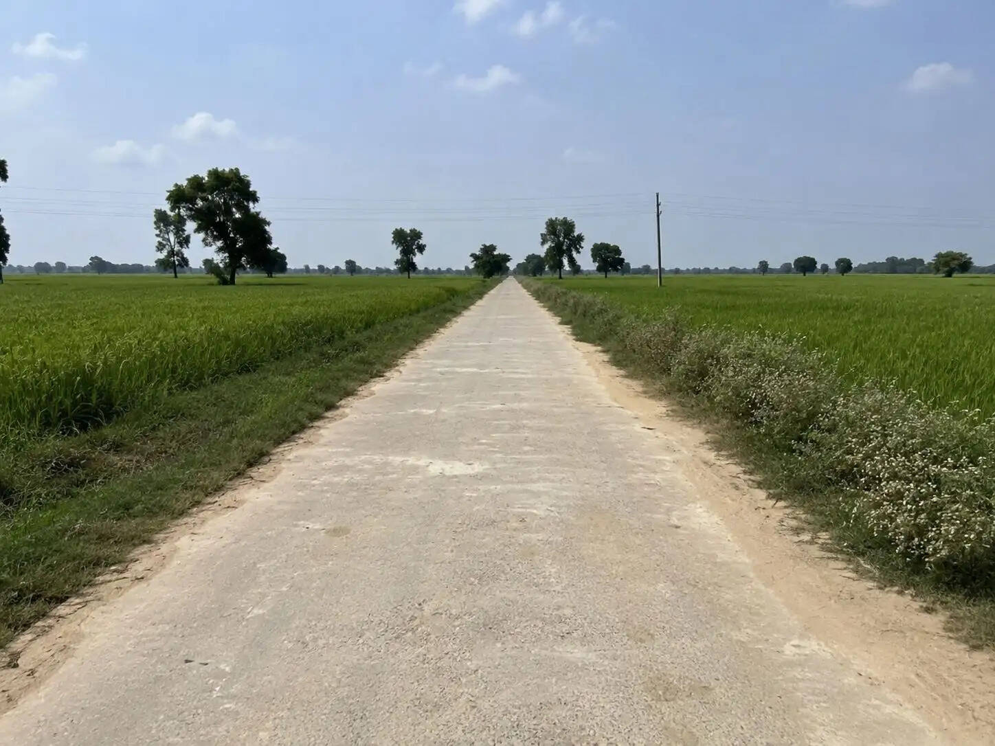 हरियाणा में खेतों के रास्तों को पक्का किया जाएगा, 36 करोड़ के विकास कार्यों की घोषणा