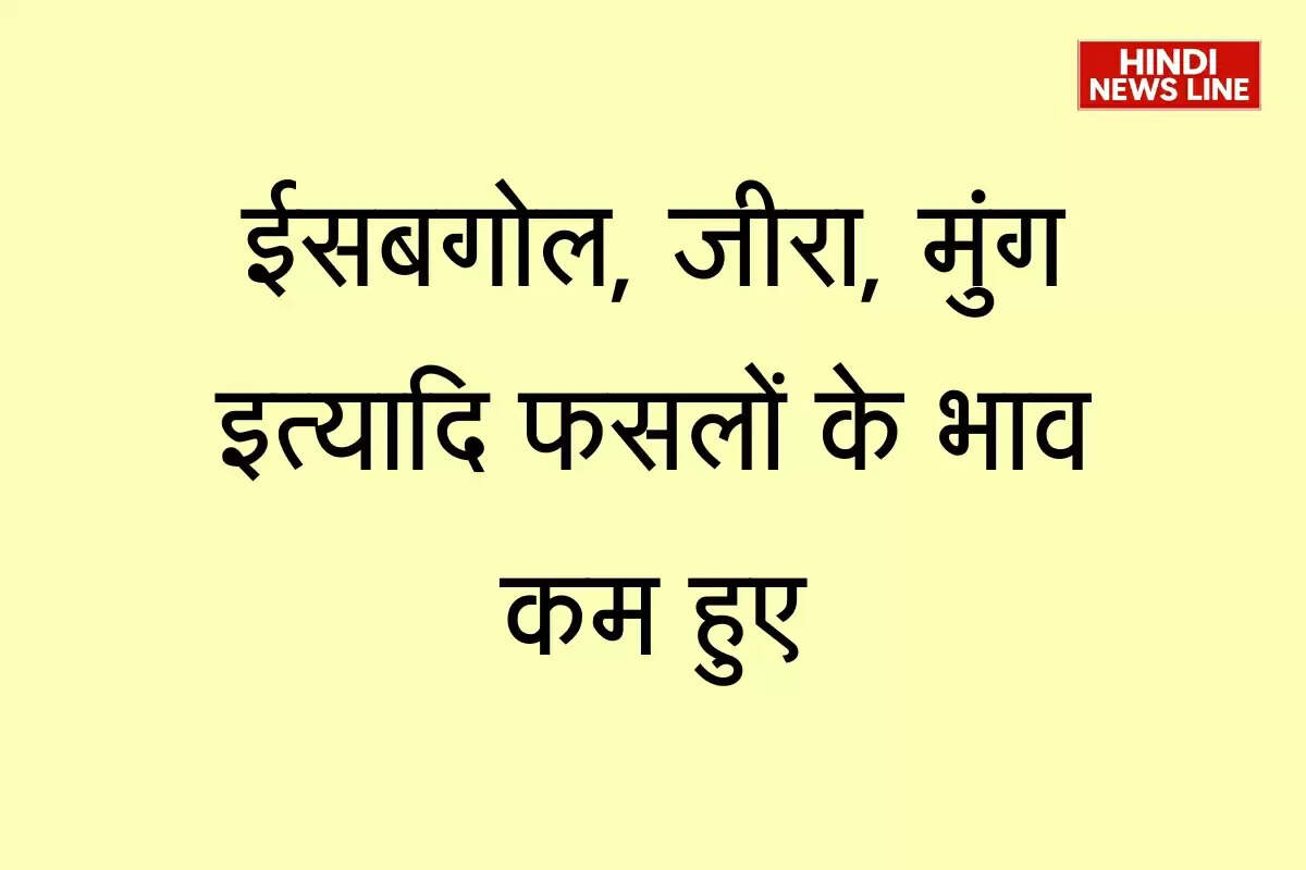 Bikaner Mandi Bhav: ईसबगोल, जीरा, मुंग इत्यादि फसलों के भाव कम हुए, गेहूं में तेजी
