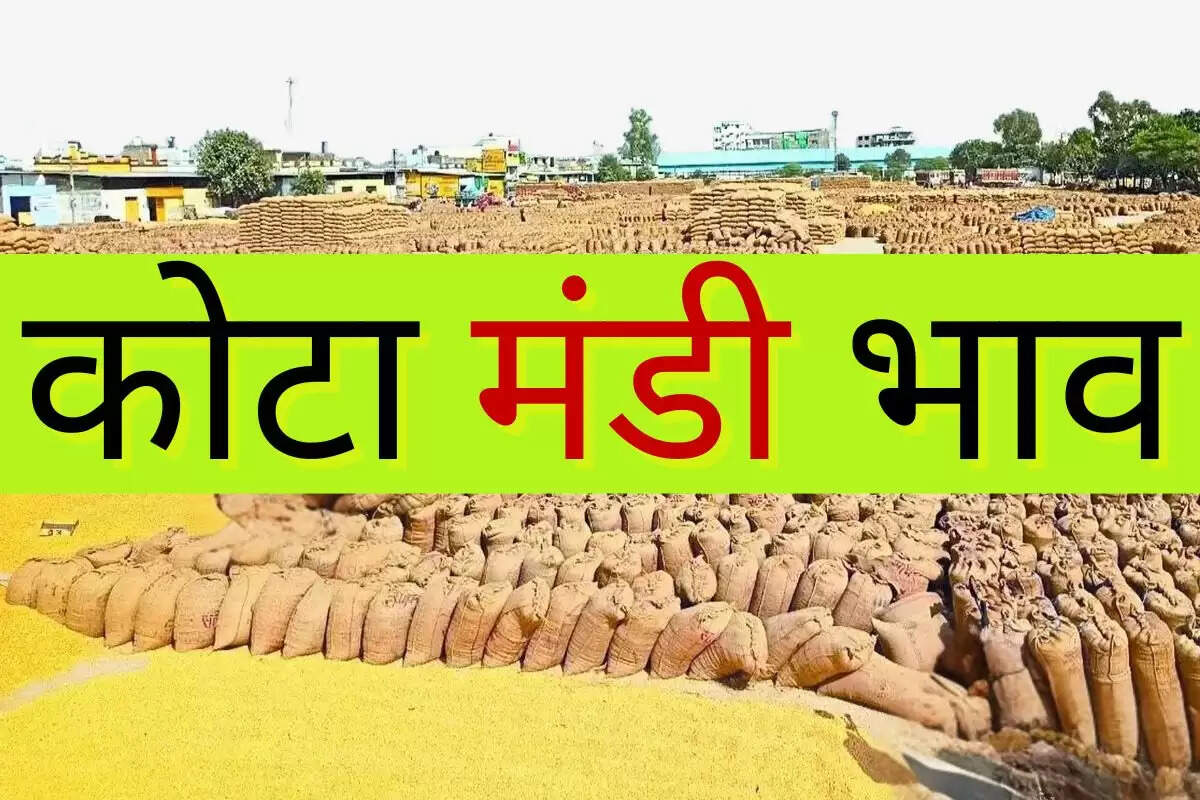 Kota Mandi Bhav: गेहूं में आई तेजी, चना में फिर से गिरावट 