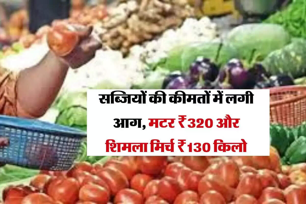 Vegetable Price: सब्जियों की कीमतों में लगी आग, मटर ₹320 और शिमला मिर्च ₹130 किलो, जानिए अन्य सब्जियों के प्राइस 
