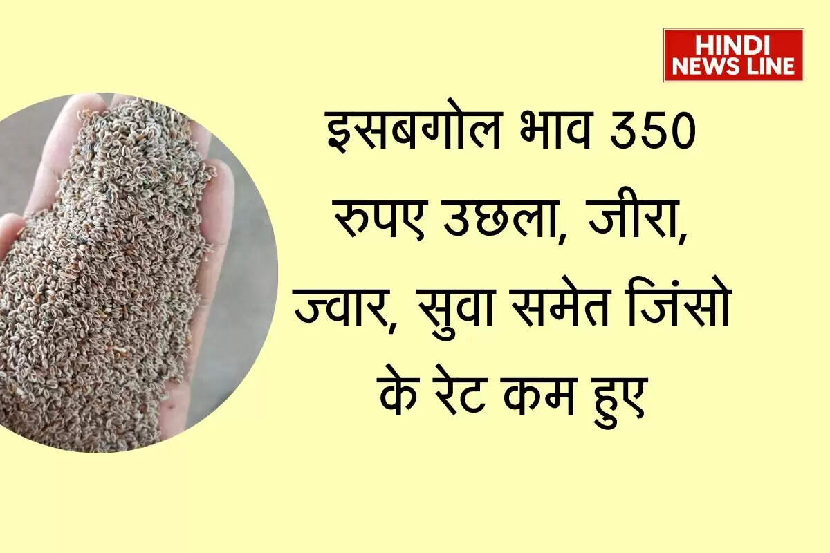 Nagaur Mandi Bhav: इसबगोल भाव 350 रुपए उछला, जीरा, ज्वार, सुवा समेत जिंसो के रेट कम हुए