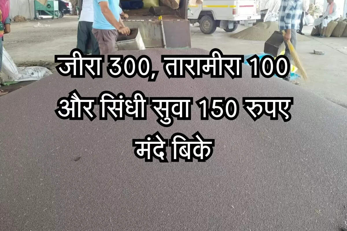 Nagaur Mandi Bhav: जीरा 300, तारामीरा 100 और सिंधी सुवा 150 रुपए मंदे बिके, इसबगोल और मूंग में तेजी