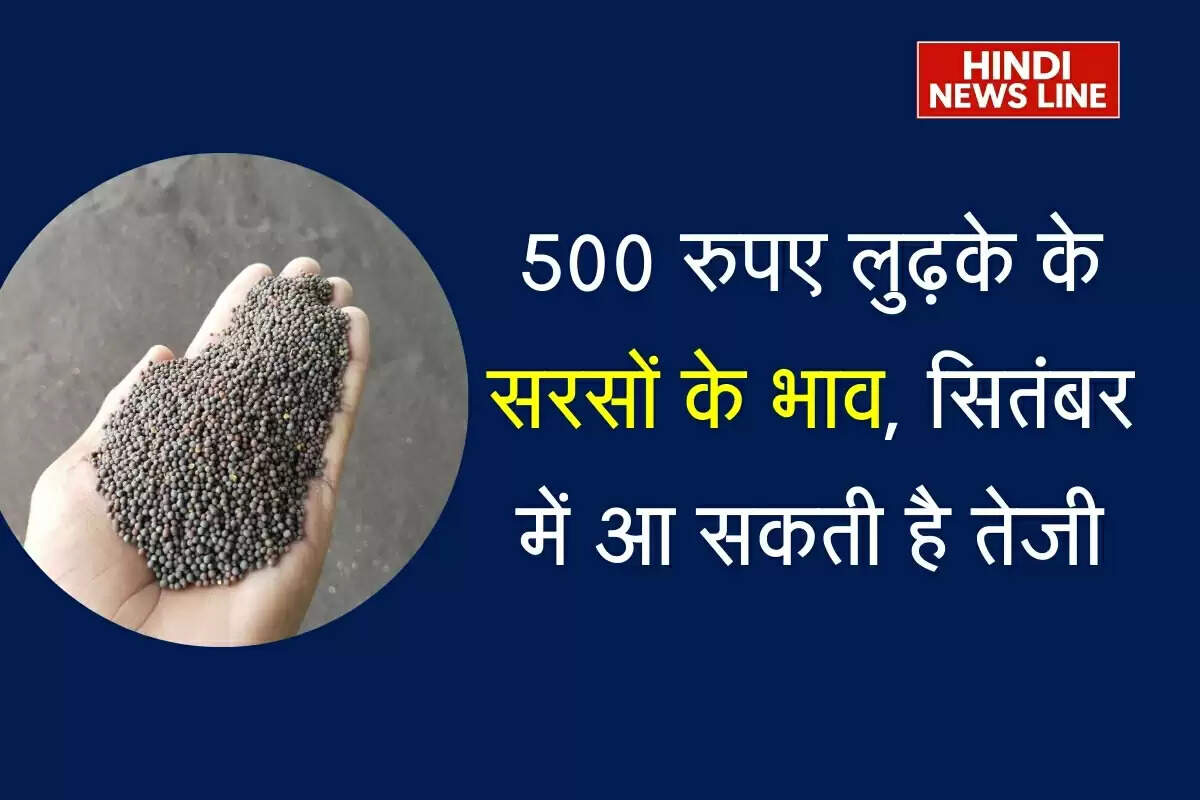 Sarso ka bhav 30 August 2025: एक सप्ताह से 500 रुपए लुढ़के के सरसों के भाव, सितंबर में आ सकती है तेजी