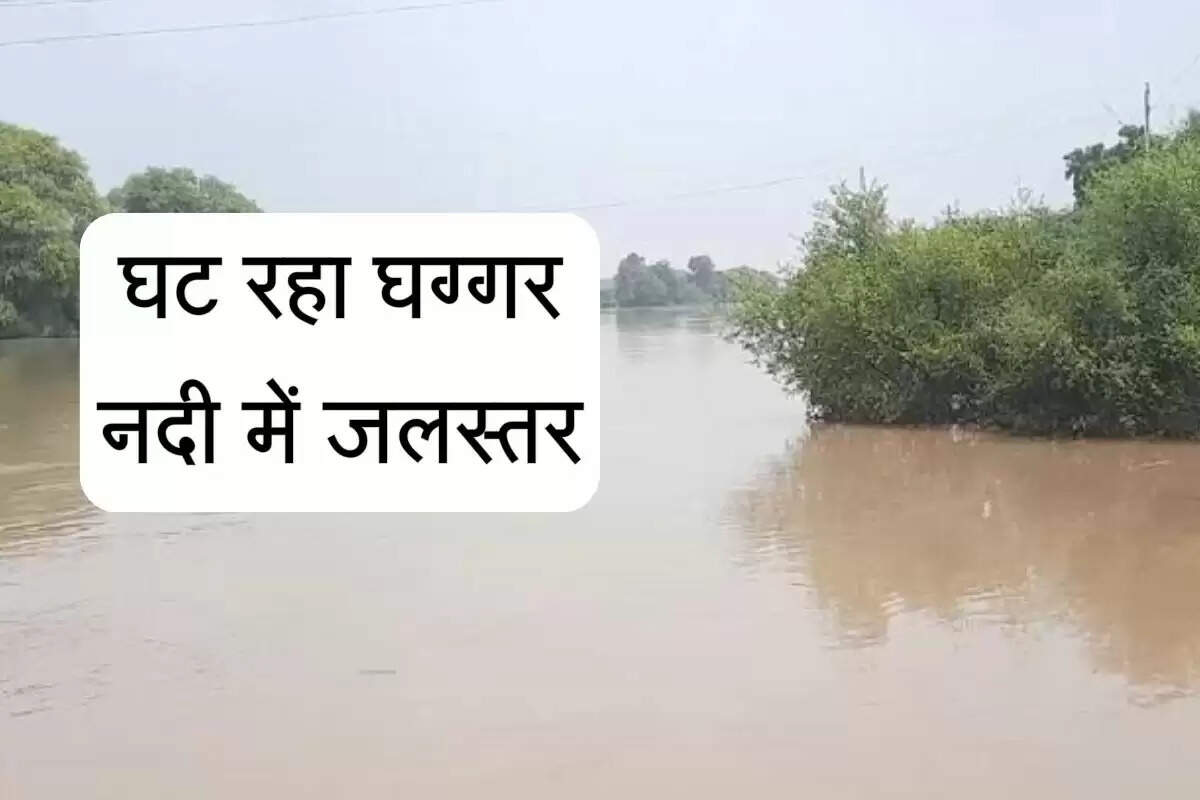 Sirsa News: रोजाना 1000 क्यूसेक घट रहा घग्गर नदी में जलस्तर, खराब हुई फसलों के आकंलन में जुटे किसान