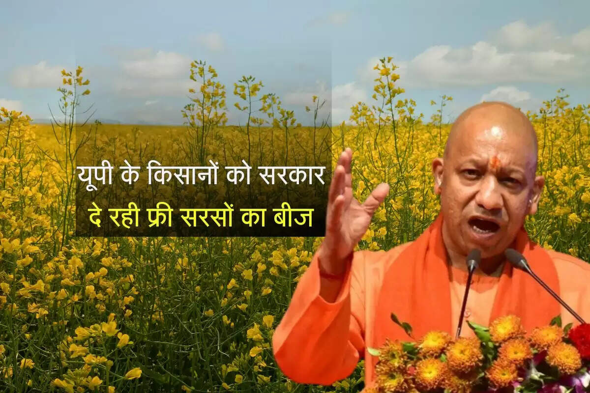 यूपी के किसानों को सरकार दे रही फ्री सरसों का बीज, अंतिम तारीख नजदीक जल्द लपक मौका