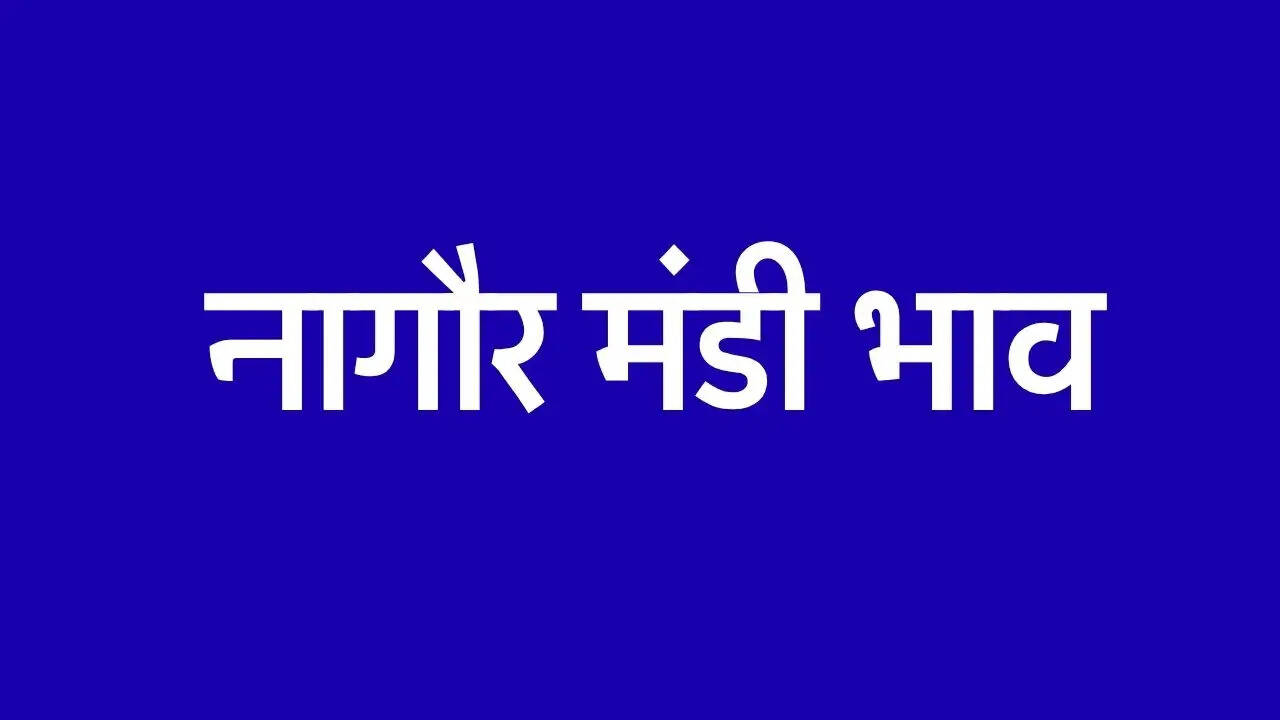 नागौर मंडी में जीरा ₹22500 तक पहुंचा, जानिए सभी ताजा भाव