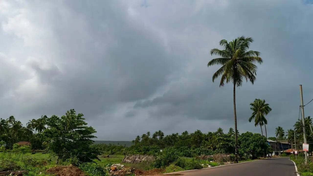 Monsoon Kaha Pahucha: केरल में दस्तक देने से पहले क्यों ठहरा मानसून, बारिश में आ सकती है कमी