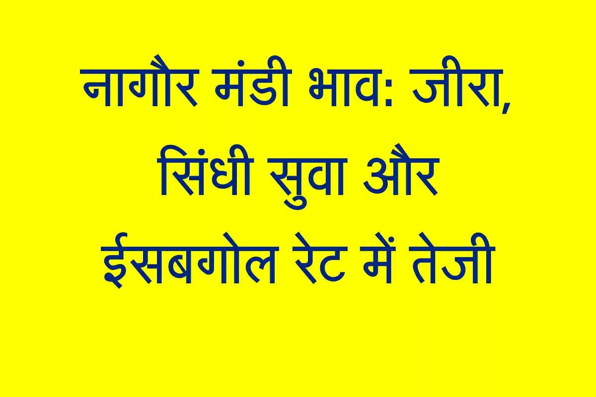 नागौर मंडी भाव: जीरा, सिंधी सुवा और ईसबगोल रेट में तेजी, रायडा के भाव रहे स्थिर