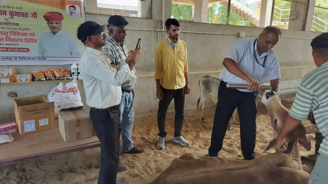 Rajasthan News: गौसेवा दिवस के रूप में मनाया गया पशुपालन, गोपालन एवं देवस्थान मंत्री जोराराम कुमावत का जन्मदिवस