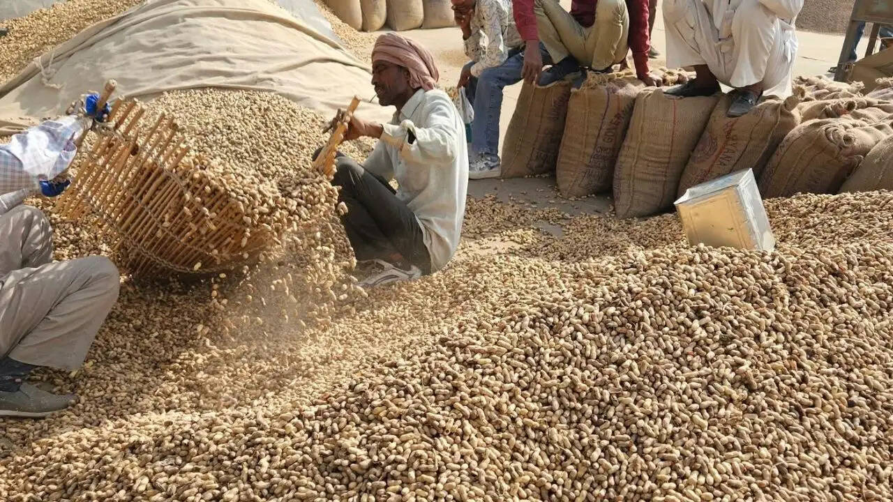नोहर मंडी भाव 15 जून 2026: सरसों, ग्वार, चना समेत सभी फसलों के ताजा भाव देखें