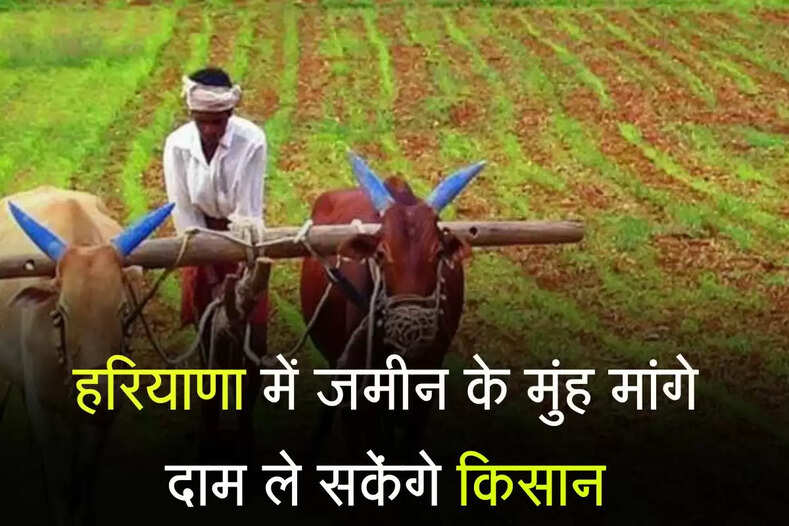 हरियाणा में जमीन के मुंह मांगे दाम ले सकेंगे किसान, सरकार ने बदले भूमि अधिग्रहण नियम
